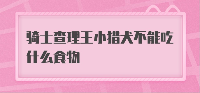 骑士查理王小猎犬不能吃什么食物