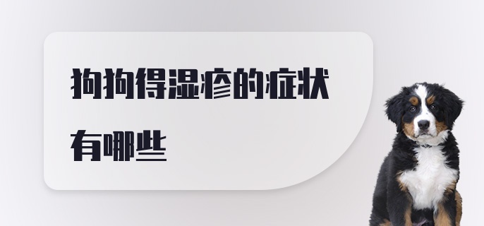 狗狗得湿疹的症状有哪些