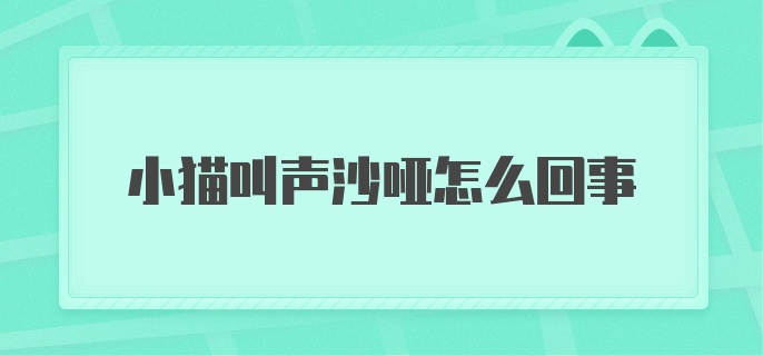 小猫叫声沙哑怎么回事