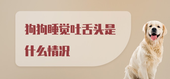 狗狗睡觉吐舌头是什么情况