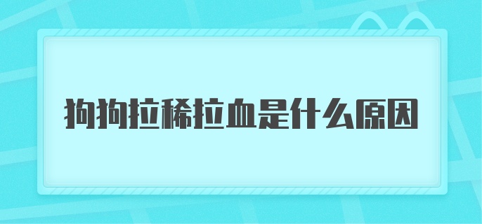 狗狗拉稀拉血是什么原因