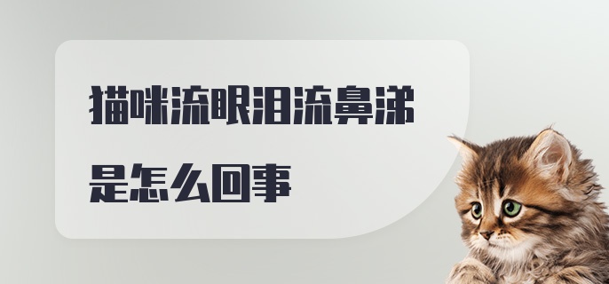 猫咪流眼泪流鼻涕是怎么回事