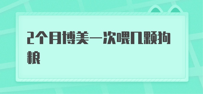 2个月博美一次喂几颗狗粮