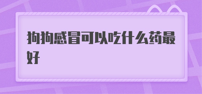 狗狗感冒可以吃什么药最好