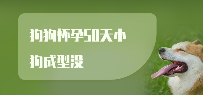 狗狗怀孕50天小狗成型没