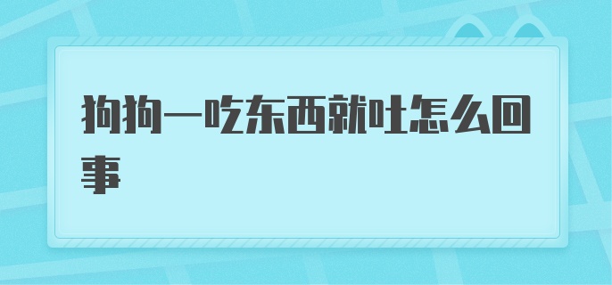 狗狗一吃东西就吐怎么回事