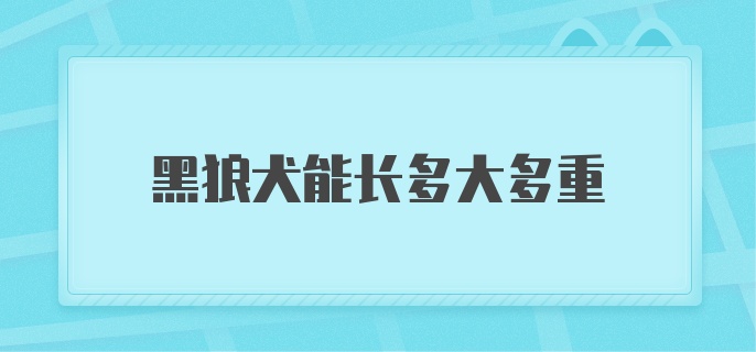 黑狼犬能长多大多重