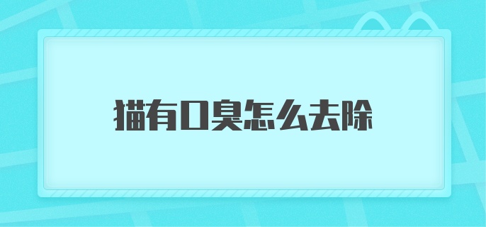 猫有口臭怎么去除