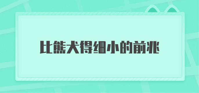 比熊犬得细小的前兆