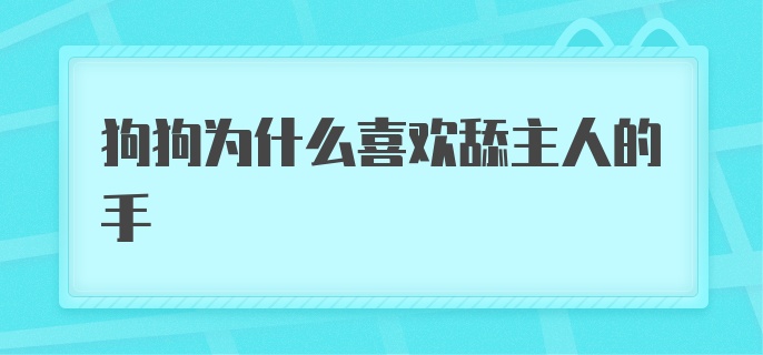 狗狗为什么喜欢舔主人的手