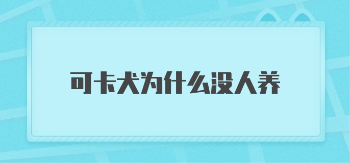 可卡犬为什么没人养