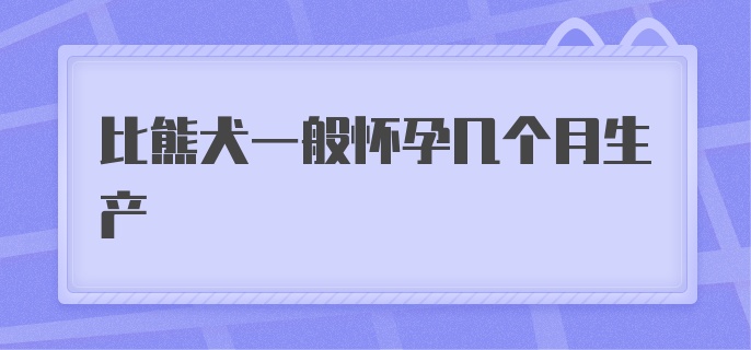 比熊犬一般怀孕几个月生产