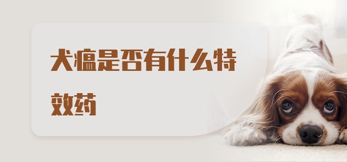 犬瘟是否有什么特效药