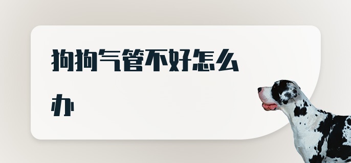 狗狗气管不好怎么办