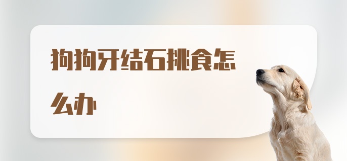 狗狗牙结石挑食怎么办