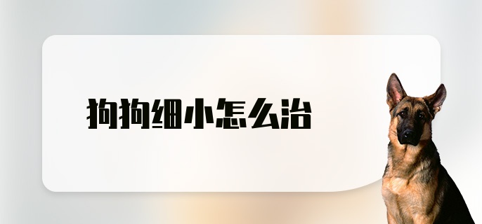 狗狗细小怎么治