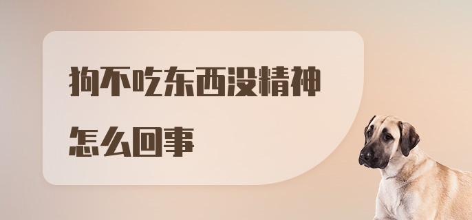 狗不吃东西没精神怎么回事