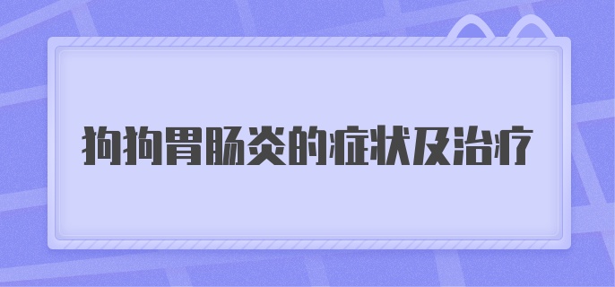 狗狗胃肠炎的症状及治疗