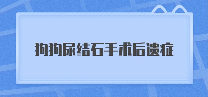 狗狗尿结石手术后遗症