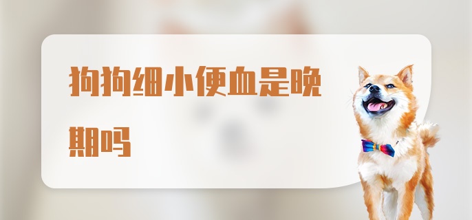 狗狗细小便血是晚期吗