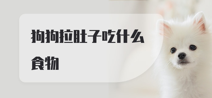 狗狗拉肚子吃什么食物