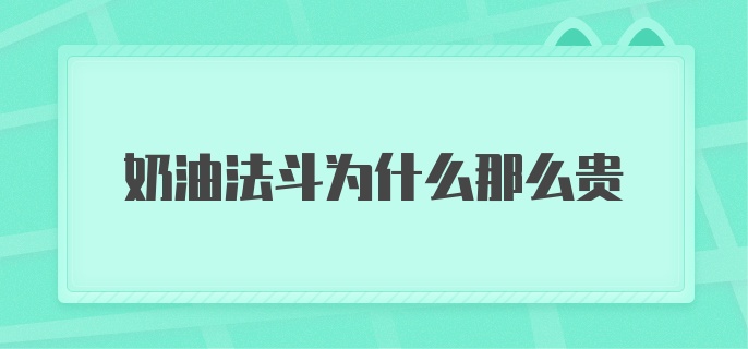 奶油法斗为什么那么贵