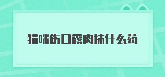 猫咪伤口露肉抹什么药