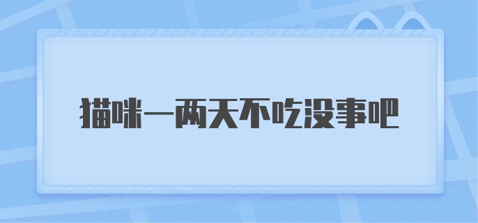 猫咪一两天不吃没事吧