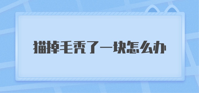 猫掉毛秃了一块怎么办