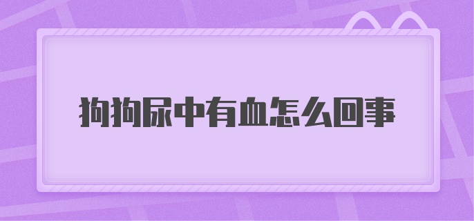 狗狗尿中有血怎么回事