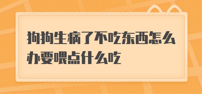 狗狗生病了不吃东西怎么办要喂点什么吃