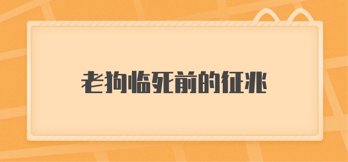 老狗临死前的征兆