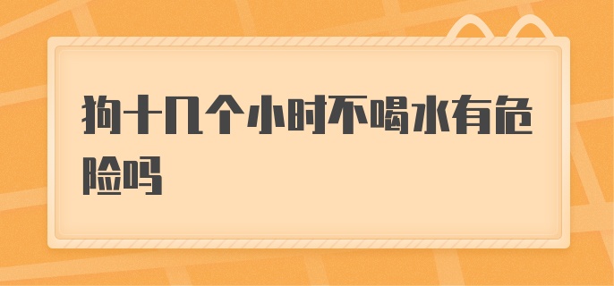 狗十几个小时不喝水有危险吗