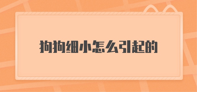 狗狗细小是怎么引起的？