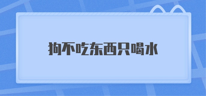 狗不吃东西只喝水