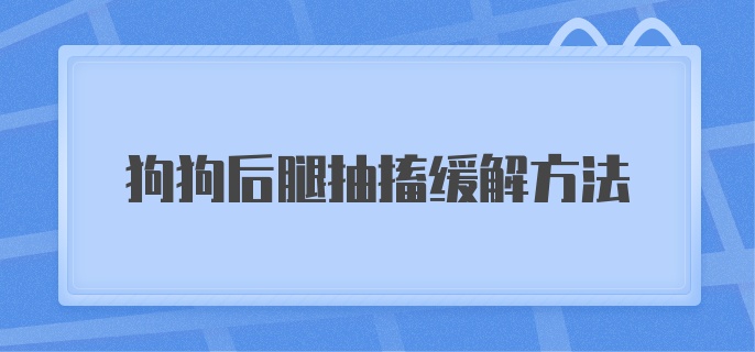 狗狗后腿抽搐缓解方法