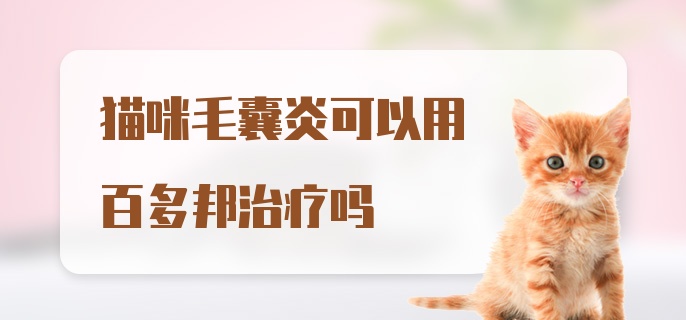 猫咪毛囊炎可以用百多邦治疗吗