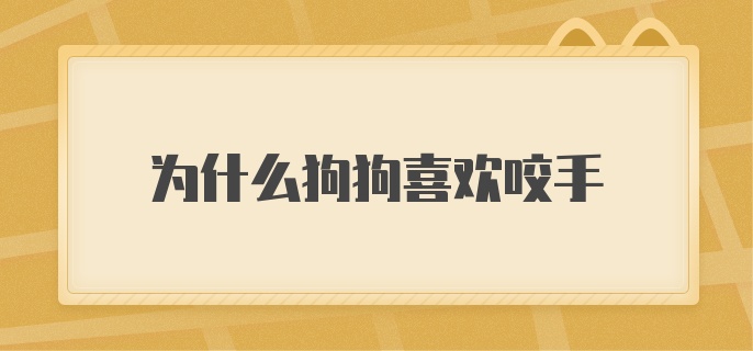 为什么狗狗喜欢咬手