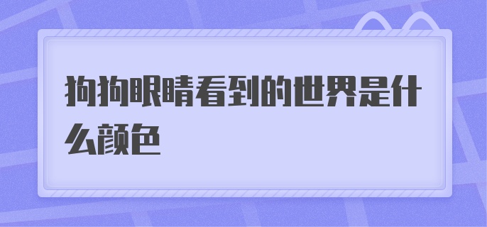 狗狗眼睛看到的世界是什么颜色