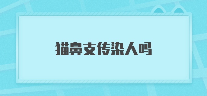 猫鼻支传染人吗