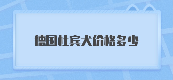 德国杜宾犬价格多少