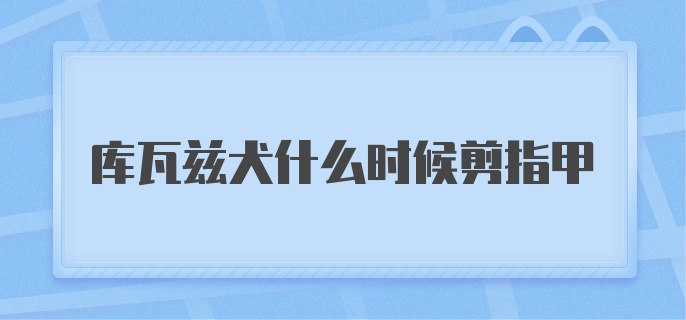 库瓦兹犬什么时候剪指甲