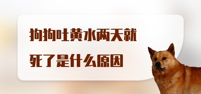 狗狗吐黄水两天就死了是什么原因