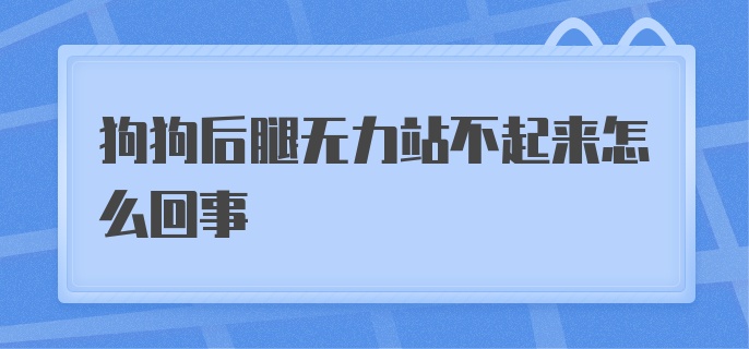 狗狗后腿无力站不起来怎么回事