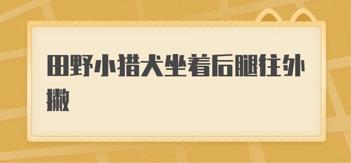 田野小猎犬坐着后腿往外撇