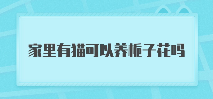 家里有猫可以养栀子花吗