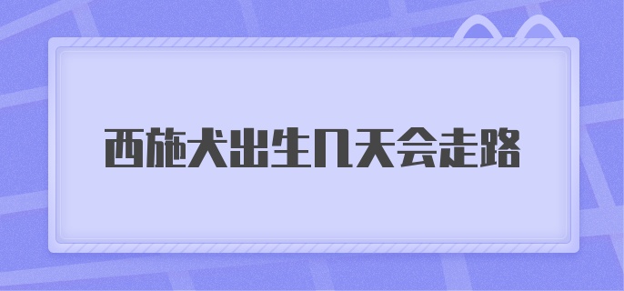 西施犬出生几天会走路