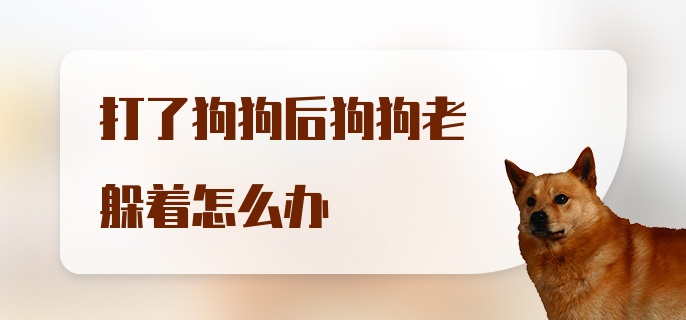 打了狗狗后狗狗老躲着怎么办