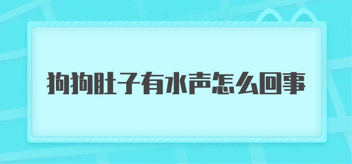 狗狗肚子有水声怎么回事