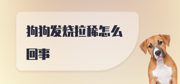 狗狗发烧拉稀怎么回事